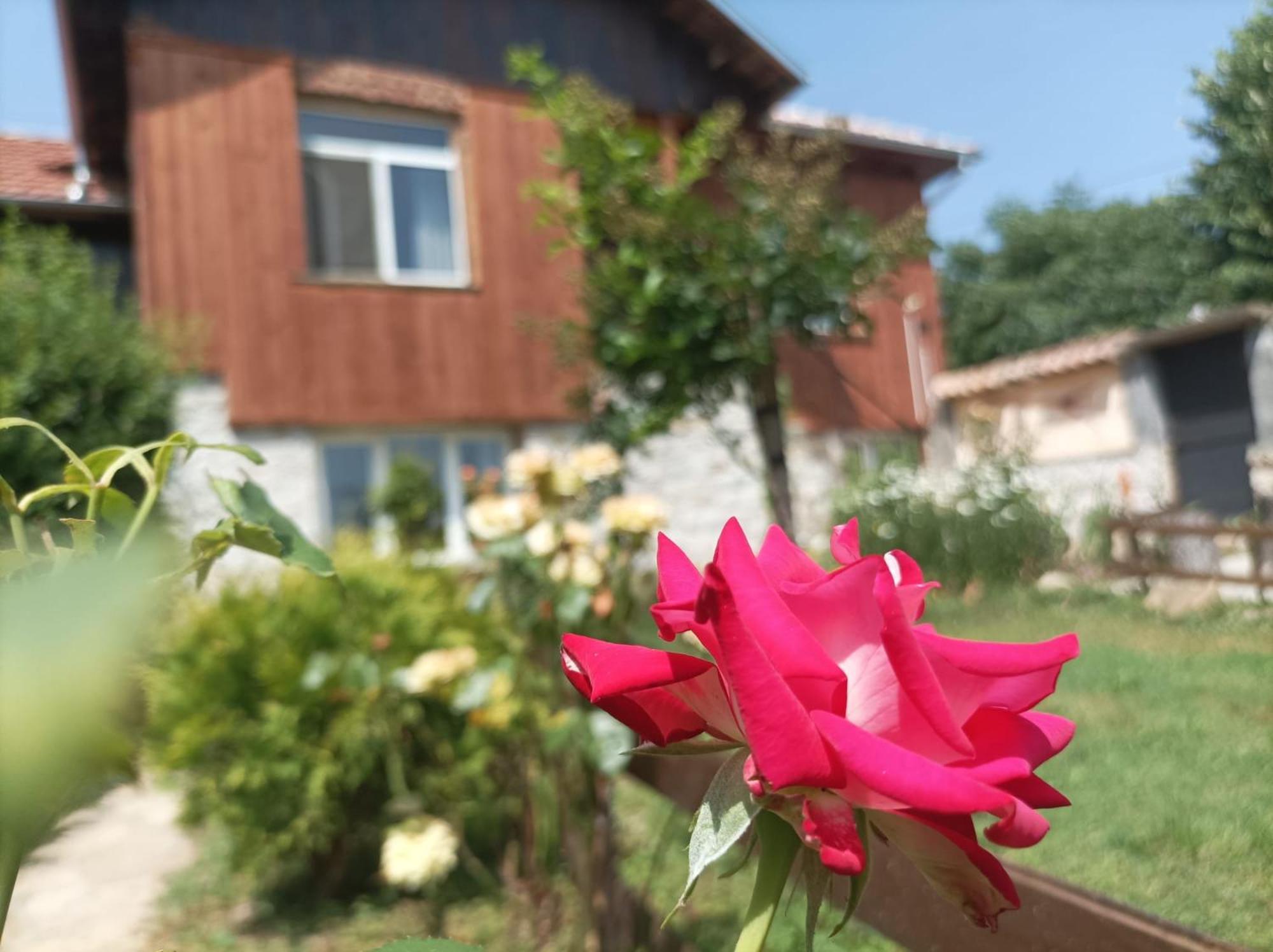 Villa Nina In Kramolin Kültér fotó